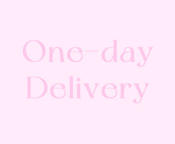 one-day delivery